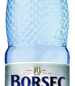 Apa plata Borsec 2 l